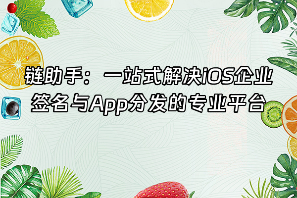 +链助手：一站式解决iOS企业签名与App分发的专业平台+