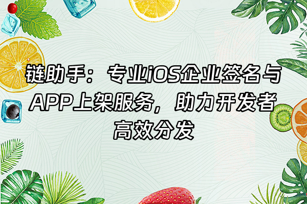+链助手：专业iOS企业签名与APP上架服务，助力开发者高效分发+