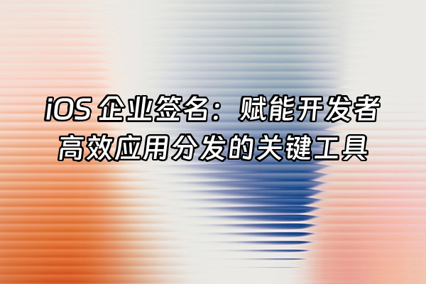 +iOS 企业签名：赋能开发者高效应用分发的关键工具+