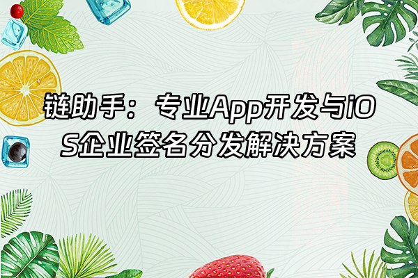 +链助手：专业App开发与iOS企业签名分发解决方案+