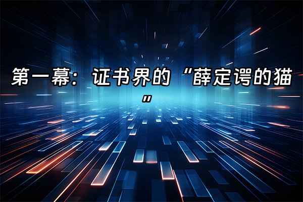 +第一幕：证书界的“薛定谔的猫”+