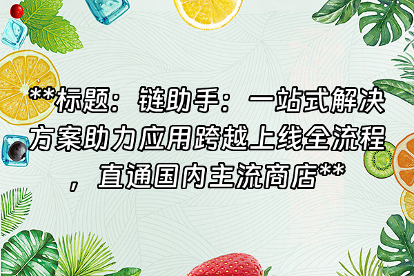 +**标题：链助手：一站式解决方案助力应用跨越上线全流程，直通国内主流商店**+