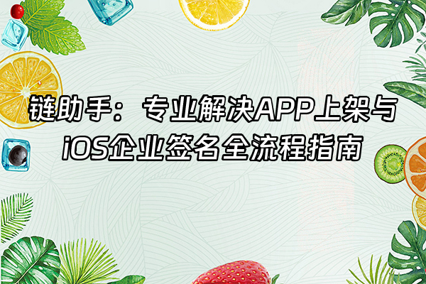 +链助手：专业解决APP上架与iOS企业签名全流程指南+