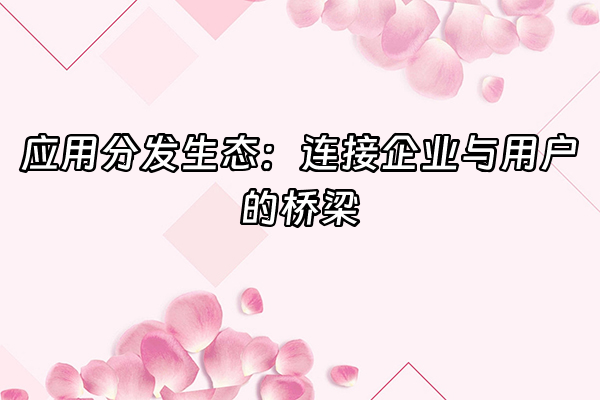 +应用分发生态：连接企业与用户的桥梁+