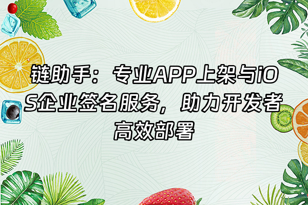 +链助手：专业APP上架与iOS企业签名服务，助力开发者高效部署+