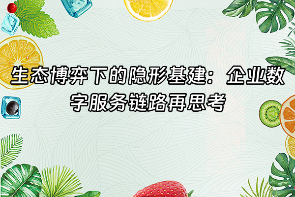 +生态博弈下的隐形基建：企业数字服务链路再思考+