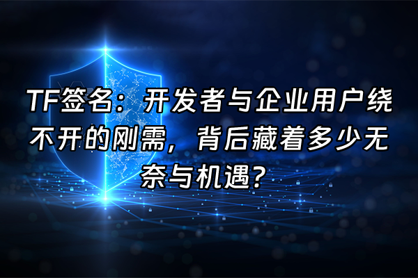 +TF签名：开发者与企业用户绕不开的刚需，背后藏着多少无奈与机遇？+