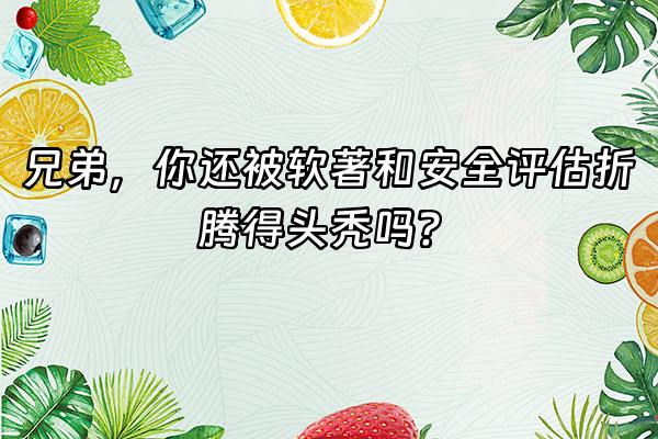 +兄弟，你还被软著和安全评估折腾得头秃吗？+