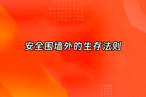 +安全围墙外的生存法则+
