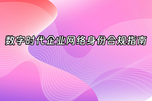 +数字时代企业网络身份合规指南+