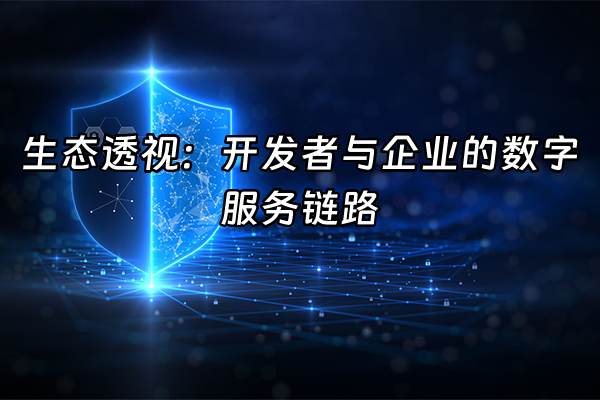 +生态透视：开发者与企业的数字服务链路+