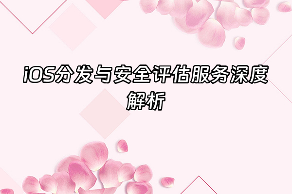 +iOS分发与安全评估服务深度解析+