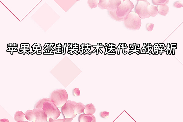 +苹果免签封装技术迭代实战解析+