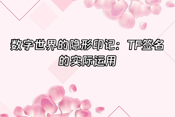 +数字世界的隐形印记：TF签名的实际运用+