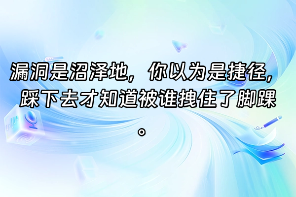 +漏洞是沼泽地，你以为是捷径，踩下去才知道被谁拽住了脚踝。+
