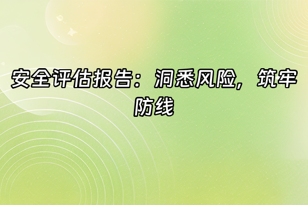 +安全评估报告：洞悉风险，筑牢防线+