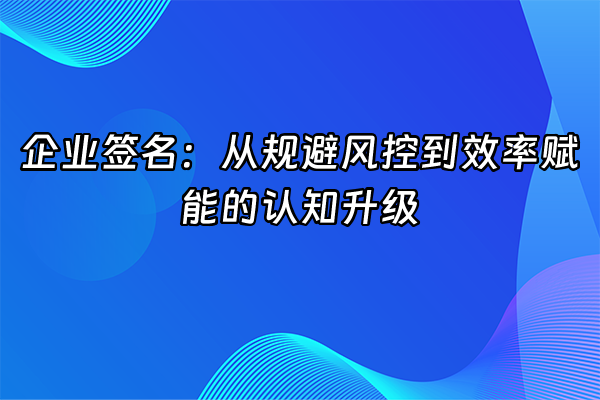 +企业签名：从规避风控到效率赋能的认知升级+