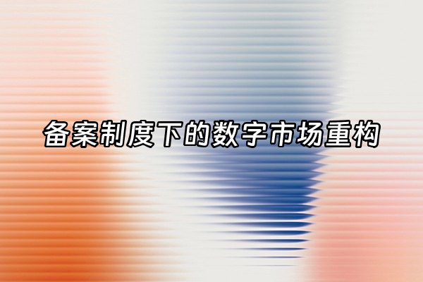 +备案制度下的数字市场重构+