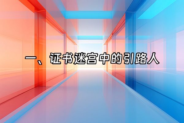 +一、证书迷宫中的引路人+