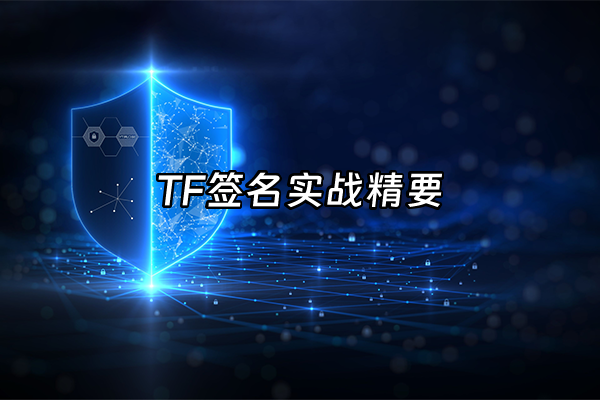 +TF签名实战精要+