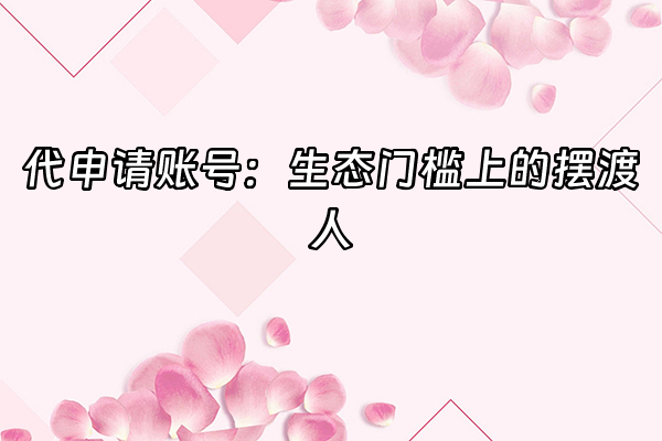 +代申请账号：生态门槛上的摆渡人+