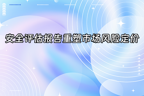 +安全评估报告重塑市场风险定价+